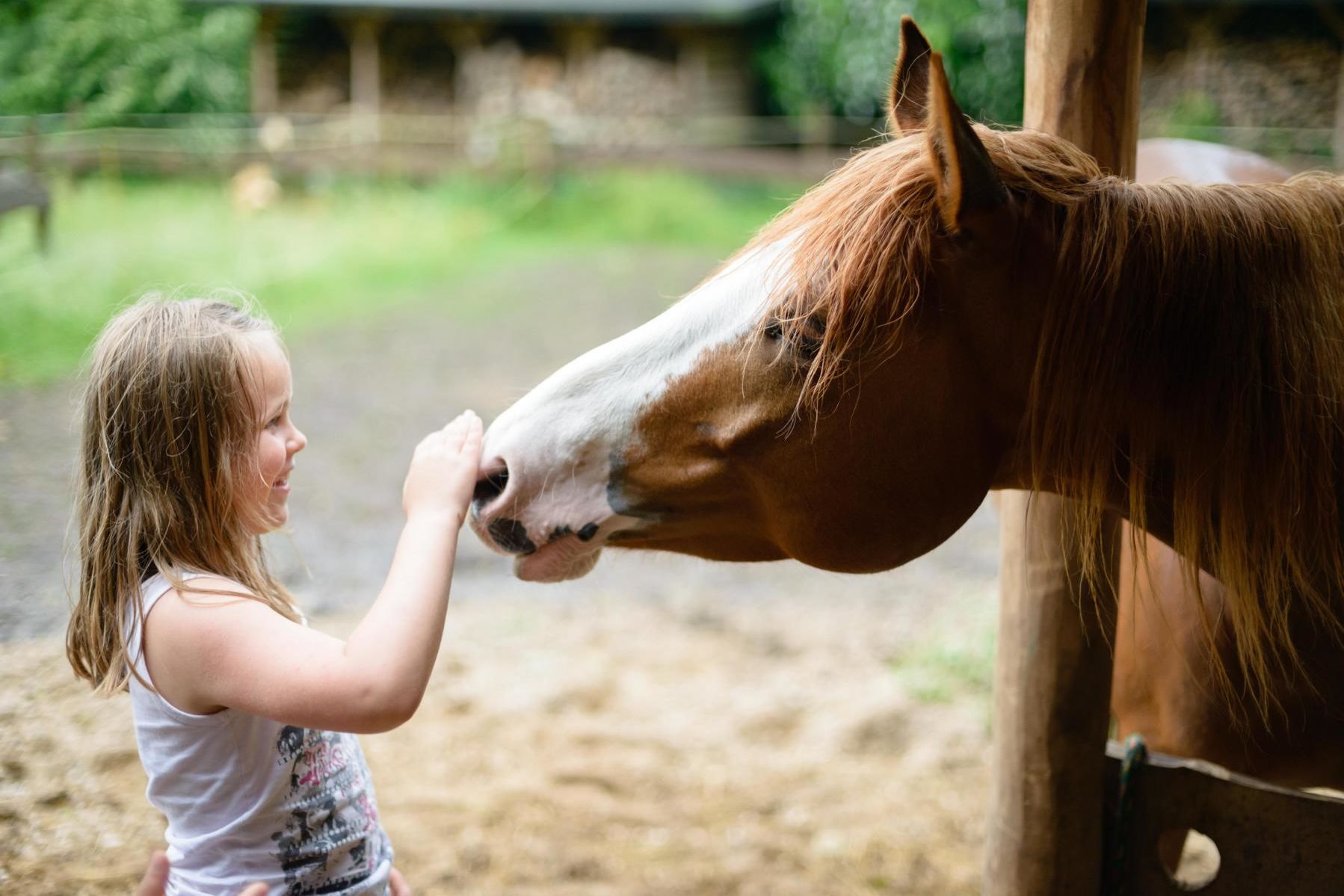 Kleines Kind streichelt ein Pferd