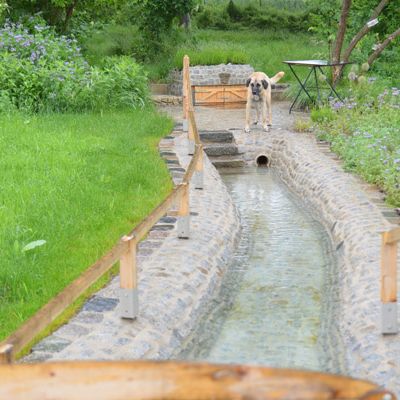 Kneippgang umgeben von grünem Garten, am Wasser steht ein braun-beiger Hund