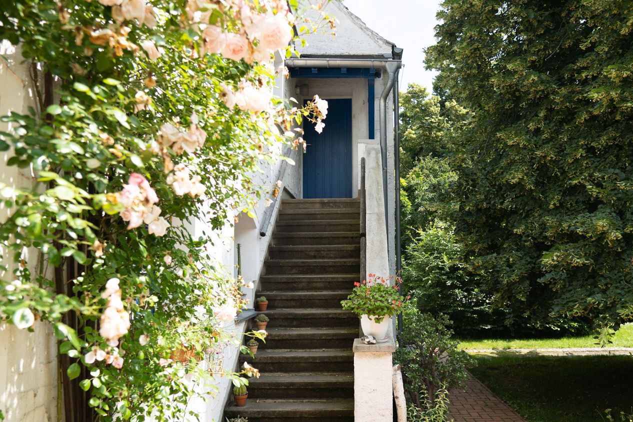 Außentreppe nach oben zu Eingang Ferienwohnung, im Vordergrund links Rosenstrauch an Hauswand, rechts große Linde