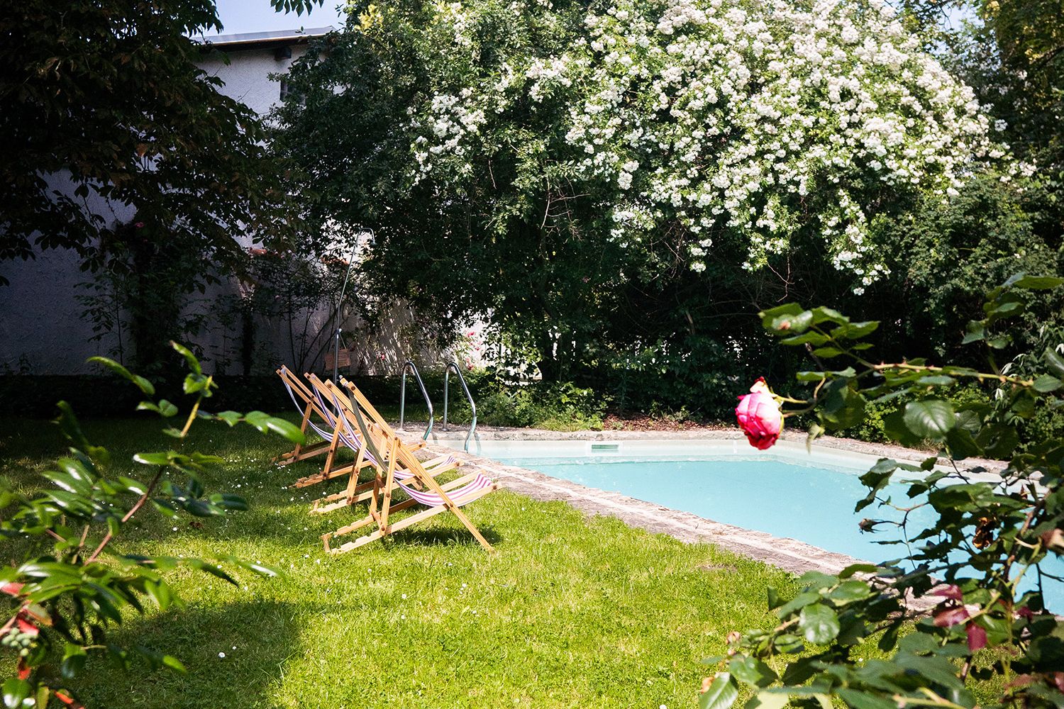 Rechteckiger Pool, rund herum Wiese und blühende Büsche und Sträucher. Links vom Pool drei Liegestühle, im Vordergrund eine blühende Rose.