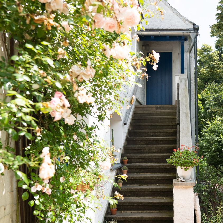 Außentreppe nach oben zu Eingang Ferienwohnung, im Vordergrund links Rosenstrauch an Hauswand, rechts große Linde