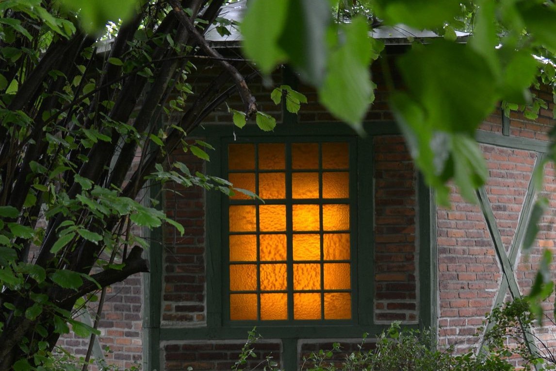 Gestrüpp im Vordergrund, dahinter eine Hauswand, darin ein Fenster mit einem beleuchteten Zimmer