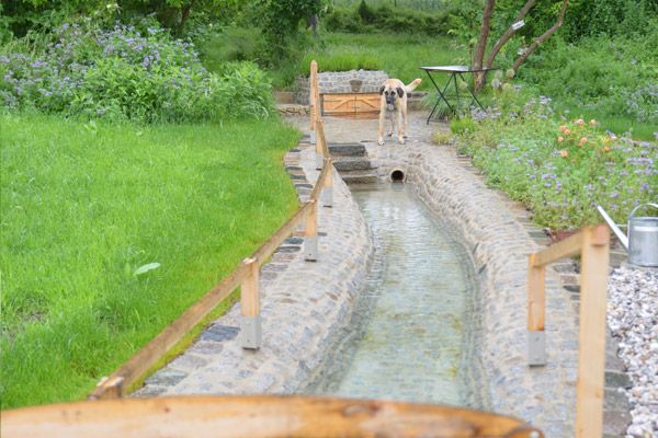 Kneippgang umgeben von grünem Garten, am Wasser steht ein braun-beiger Hund